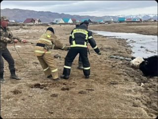 Спасатели нашего района всегда готовы прийти на выручку, пишет администрация Кош-Агачского района. Стоит помнить, что время в их