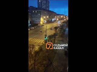 «Зацепила за багажник и потащила»: красноярка выгуляла собаку по автодороге на коротком поводке