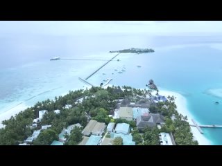 Любовь на Мальдивах / Love In The Maldives - трейлер