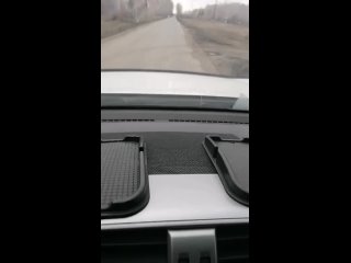Житель Омской области обнаружил рядом с населенным пунктом десятки мертвых косуль