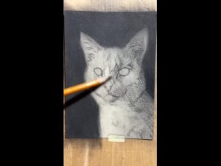 Завораживающие рисунки реалистичных котиков