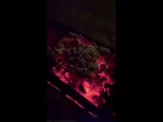 Видео от Отдых на Селигере,у озера в сосновом лесу