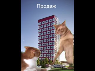 Video by Жилой комплекс Чайка | Благовещенск