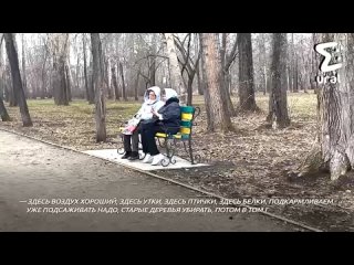 Жители Екатеринбурга просят оставить рощу в парке 50-летия ВЛКСМ в покое