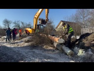 Гнездо краснокнижных аистов в Лужском районе перенесли из-за расширения трассы Р-23