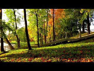 Осень и саксофон Музыка - Андрей Обидин (Волшеб-Ник), видео - Сергей Зимин (Куде