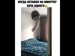 Батины Видео