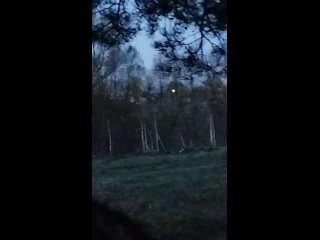 Видео от Подсадные утки и охота с ними