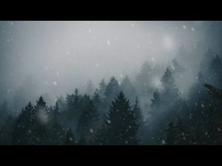 Snowfall in Forest   FREE Motion Background Animation - 4K