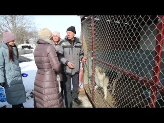 «Люди очень много говорят, но мало делают»: что вице-мэр Воронежа сказала на открытии частного приюта для собак в Воронеже