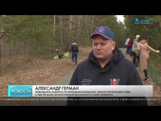 Осторожно, жабы в заказнике «Сестрорецкое болото»