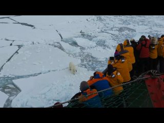 Школьникам предлагают отправиться на Северный полюс