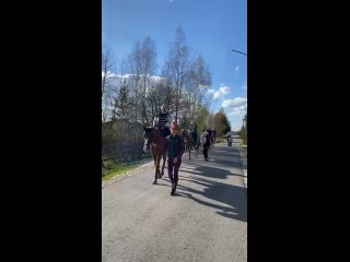Видео от ЧК “КСК Корнет“ Конные прогулки в  Раменском