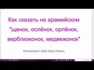 153. Как сказать на арамейском щенок, ослёнок, орлёнок, верблюжонок, медвежонок.