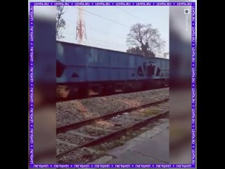 Поезд с 53 вагонами проехал 80 километров без машиниста.  Инцидент случился в Индии: во время смены экипажа машинист и... (видео)