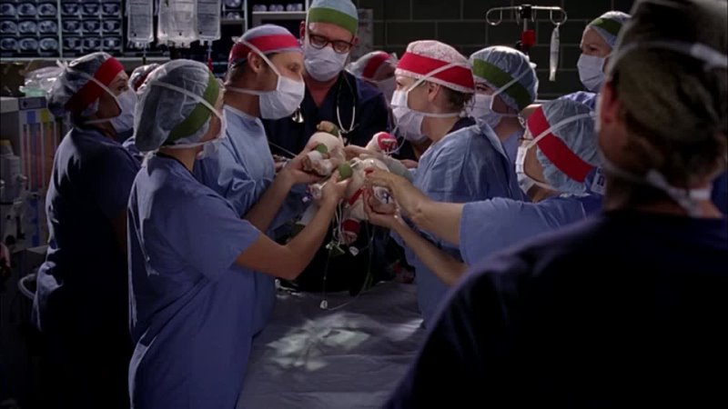 Greys Anatomy S08