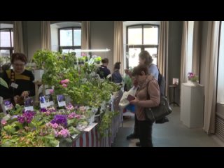 Выставка комнатных растений открылась в Иркутском краеведческом музее