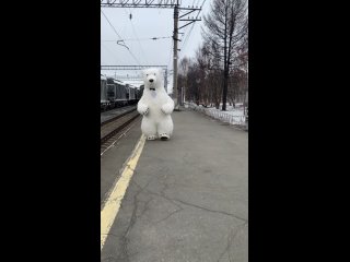 Видео от Медведь Пломбир Мончегорск