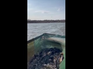 Video by Платная рыбалка в Саратове