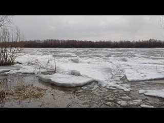 Сбросив ледяные оковы: в Омске начал оттаивать Иртыш