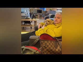 Лариса Гузеева показала мужа и дочь в аэропорту