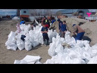 Жители Упорово объединились, чтобы защитить село от паводка