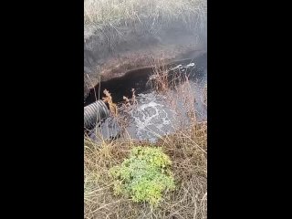 В Первомайском районе Оренбуржья люди жалуются на сброс отходов производства ликеро-водочного завода в реку Чаган