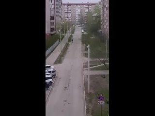 Video by Ижевск сегодня |  Новости |  Куда сходить