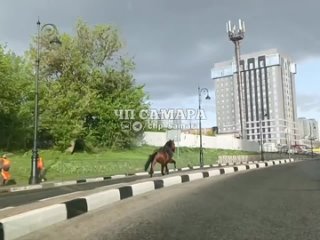 Video by Новости Самары -  Самара life