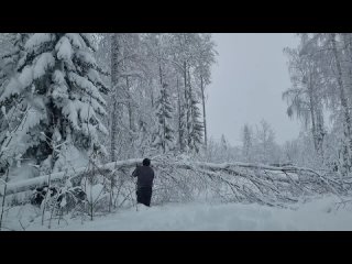 Сильнейший снегопад в окрестностях Екатеринбурга. Пробиваемся через поваленные д