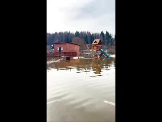 Обстановка  потоп. В подмосковном приюте для животных из-за разлива реки затопило тигров и пантеру. Их временно эвакуировали