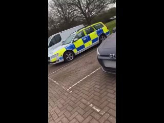 In England , a bird learned to imitate the sound of a cars siren alarm bringing police to the scene