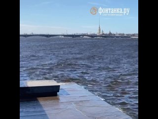 В Петербурге ветер надул пыльную бурю, такой «сюрприз» точно не обрадовал горожан