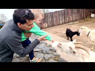 Зоопарк: Коза & Денис с папой