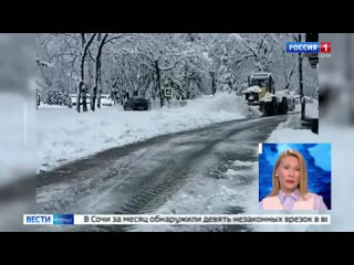 В Рицинском нацпарке в Абхазии выпало до 35 сантиметров снега