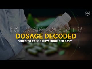 Right Fadogia Agrestis Dosage = +413% Testosterone