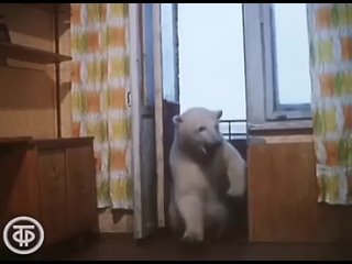 Видео от Я Люблю Мой Край-Енисейская Сибирь