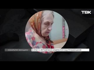 В Назаровском районе 11 летний школьник издевался над своей 90 летней прабабушкой. Красноярский край