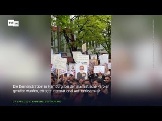 Nach Islamisten-Demo in Hamburg: Warnung von arabischem Auenminister geht viral