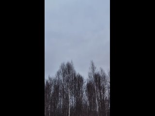 Видео от Натальи Ершовой