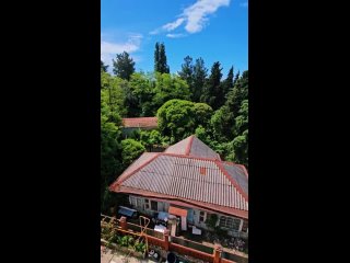 15 мая в Лазаревском 😎 Всем подписчикам отличного дня и хорошего настроения ✌️ (видео)