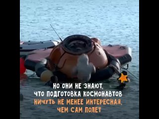 Видео от МБОУ СОШ №29 имени К.Ф.Зайцева поселка Мостовско