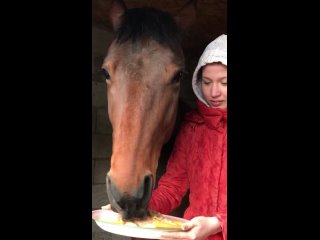 Video by Kasatka and Ksenia