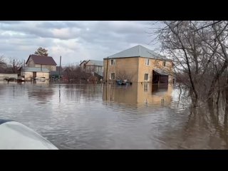 Двое жителей Оренбурга приехали покормить коз и чуть не утонули