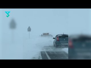 Снег, метель и оттепель в один день   | Ямальская весна