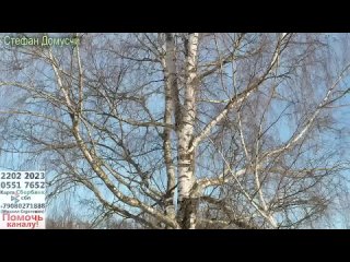Видео от Прихожане храма прп. Тихона Луховского