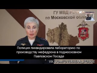 Полиция ликвидировала лабораторию по производству мефедрона в подмосковном Павловском Посаде