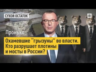 Пронько - Охамевшие грызуны во власти Кто разрушает плотины и мосты в России