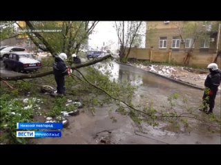 Снег, поваленные деревья, упавшие столбы - коммунальщики оперативно устраняют последствия ночной непогоды и продолжают подачу те