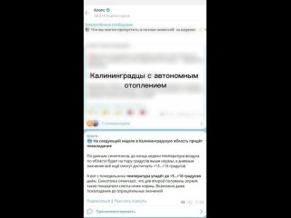 Не удержались и тоже решили сделать видео с этим популярным енотом. По мотивам калининградских новостей